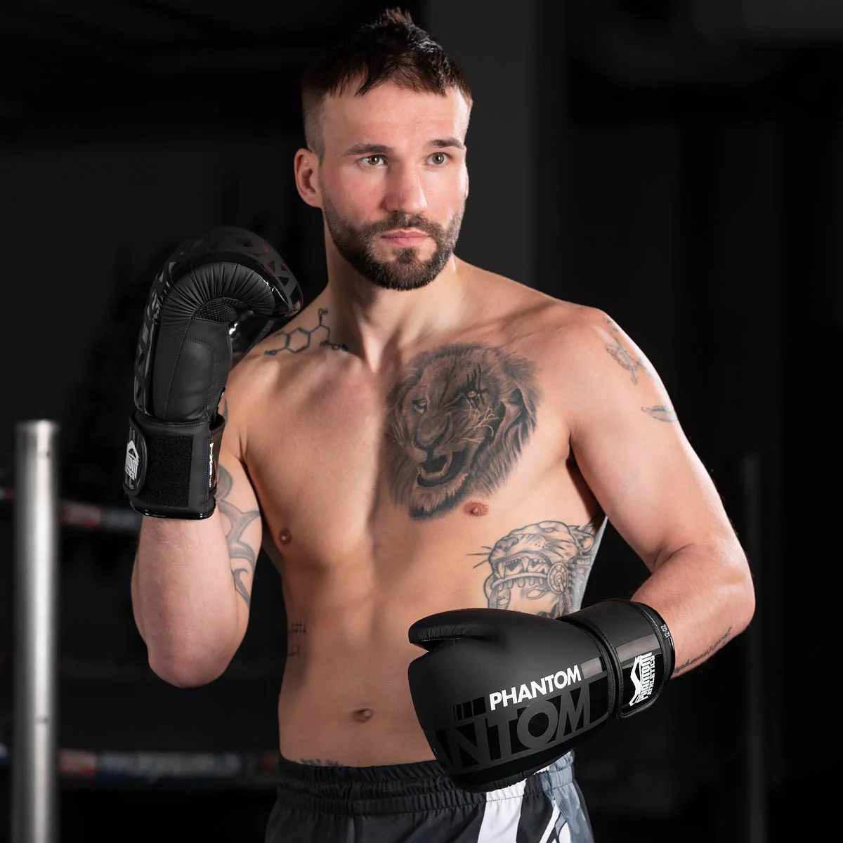 Boxhandschuhe APEX - Image 13