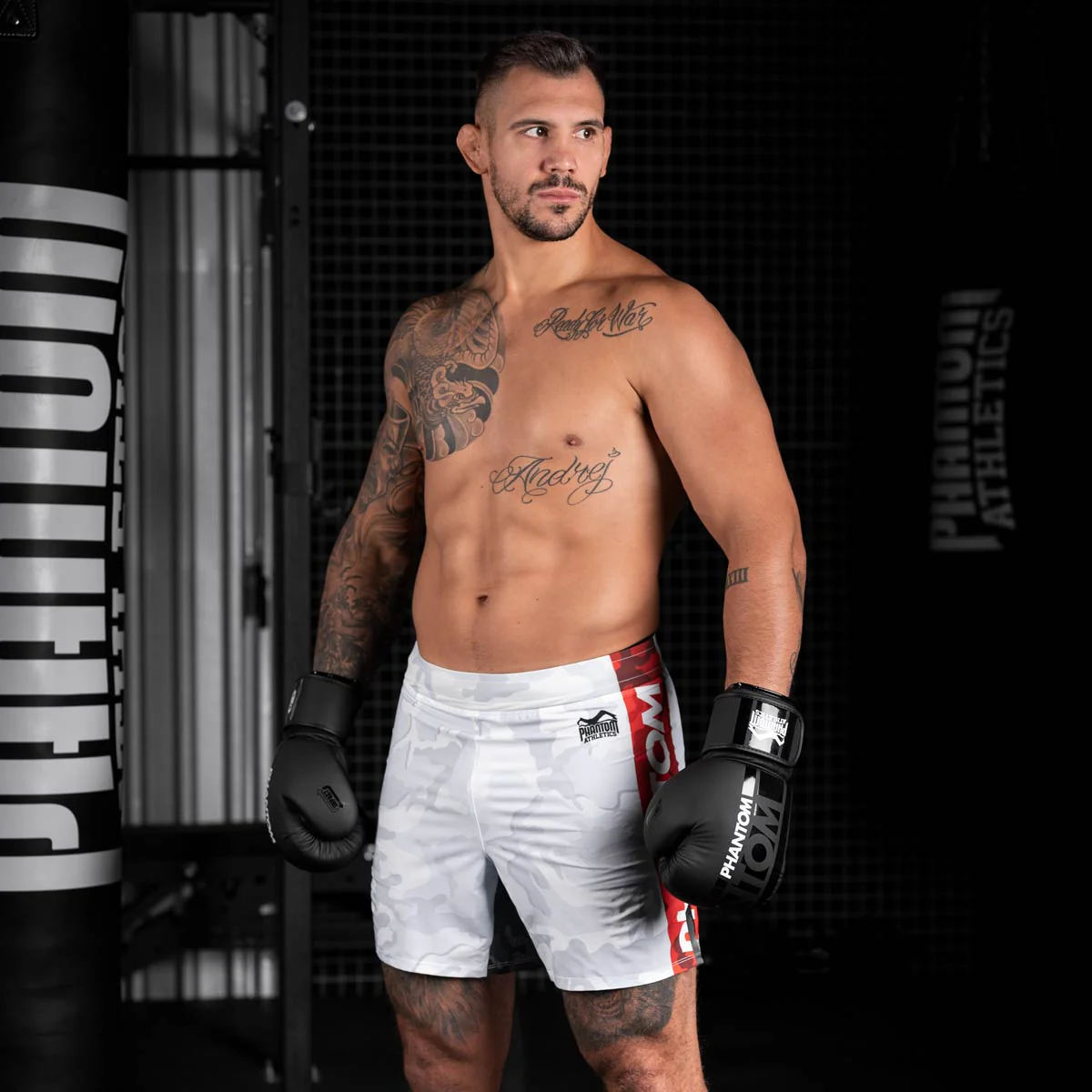 Boxhandschuhe APEX - Image 9