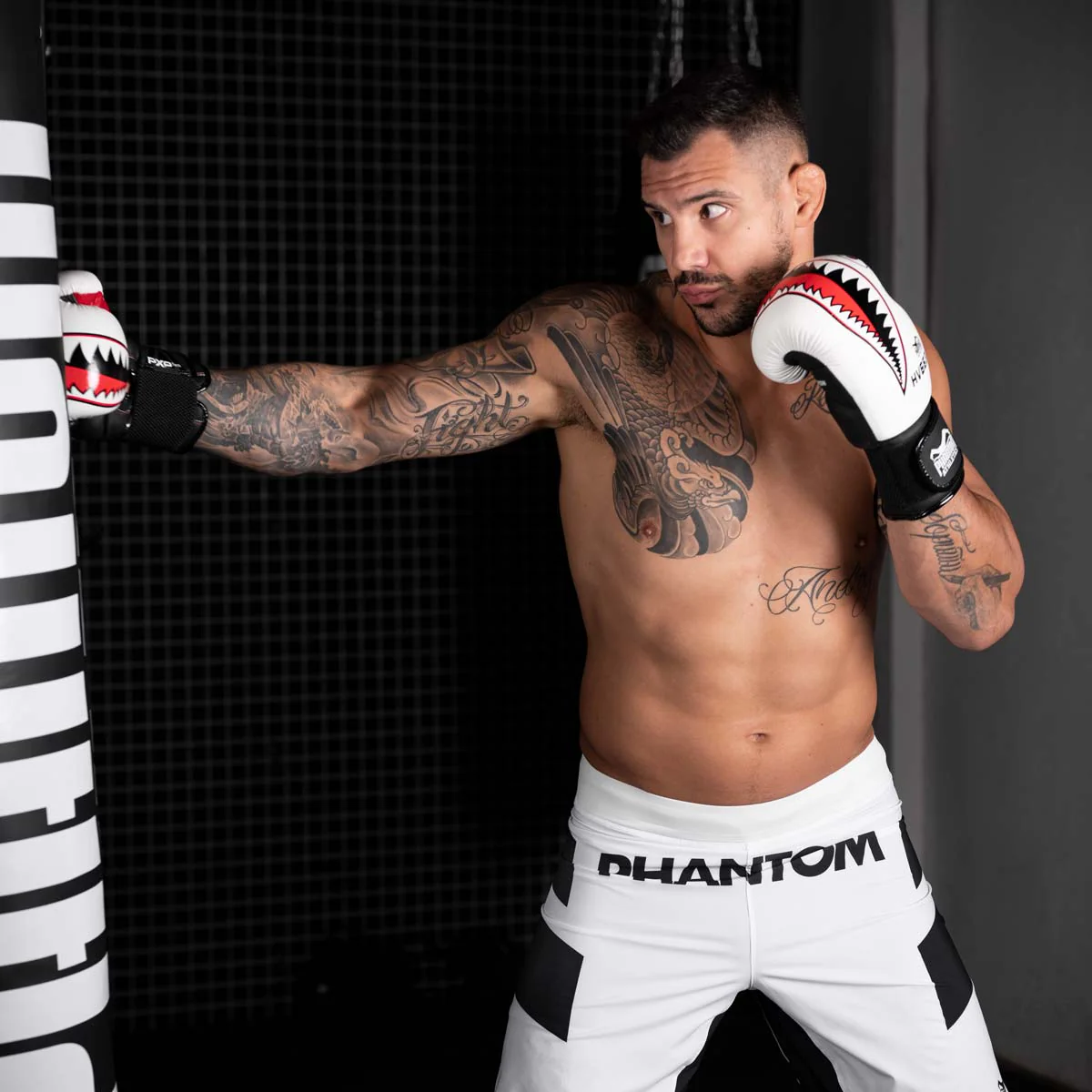 Boxhandschuhe Fight Squad - Weiß - Image 10