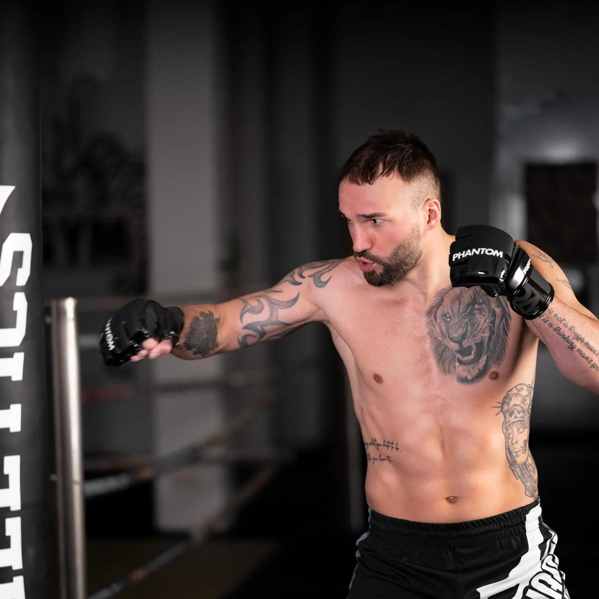 MMA Hybrid Handschuhe APEX - Image 6