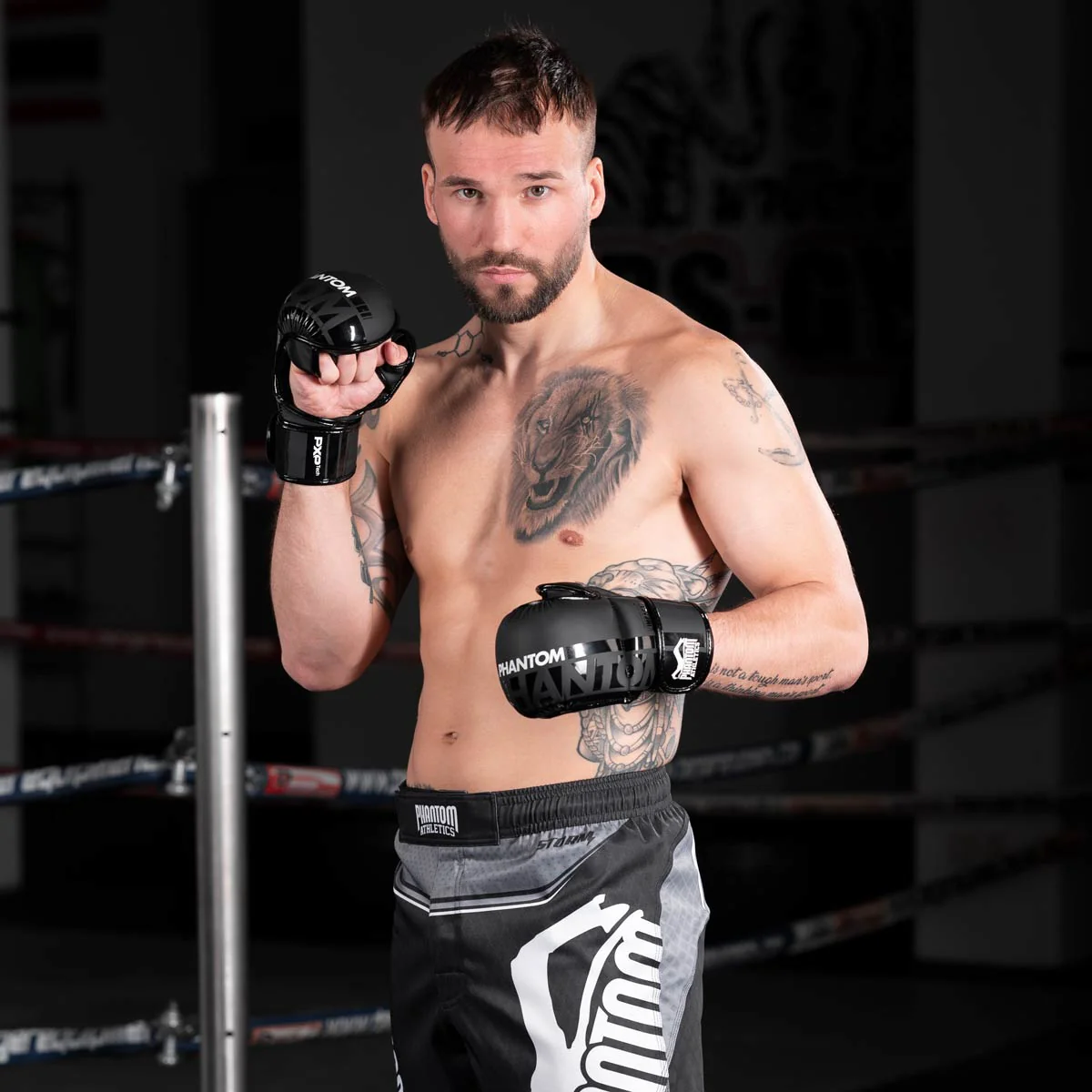 MMA Sparring Handschuhe APEX - Image 5