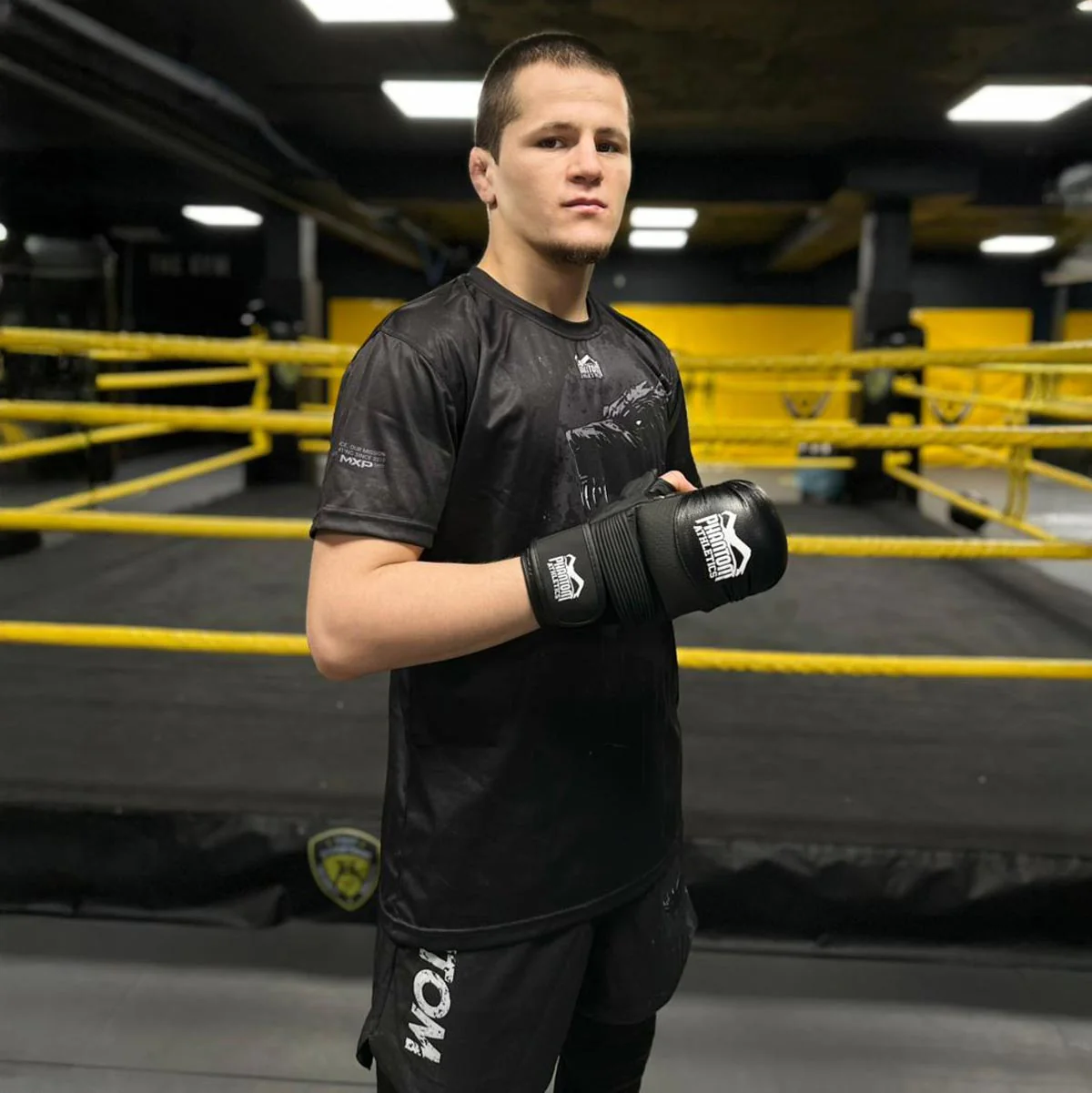 MMA Sparring Handschuhe RIOT Pro - Image 21