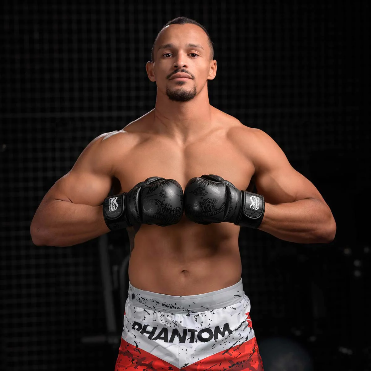 Sparring Handschuhe Muay Thai - Image 5